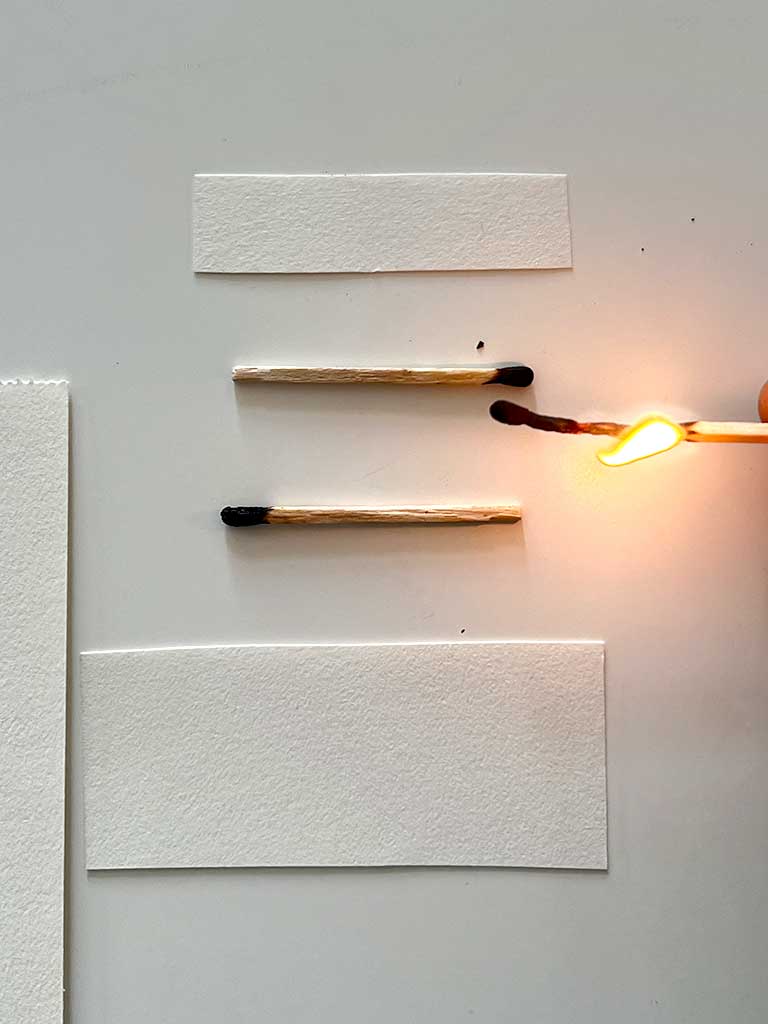 Mediation Medusa — image 01